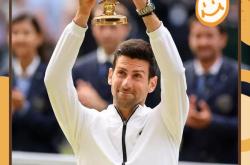 关于德约科维奇在日本队比赛中高光表现，连败引发热议！的信息