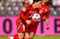  德布劳内个人生涯 