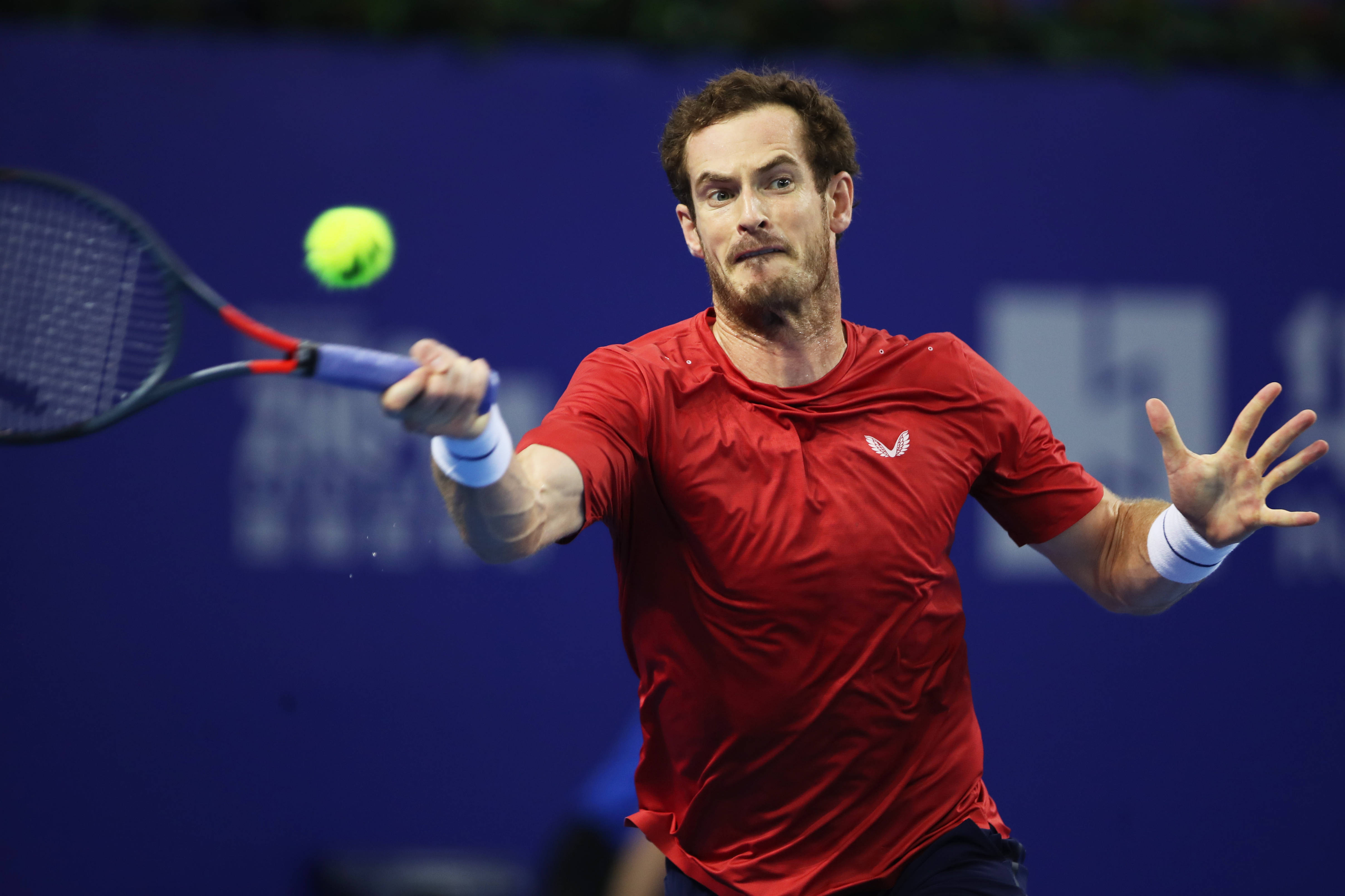 穆雷回归赛场，精彩发挥首场状态亮眼，澳大利亚队观众沸腾！的简单介绍